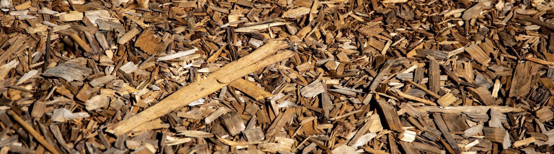 Close-up view of brown wood chips covering the ground